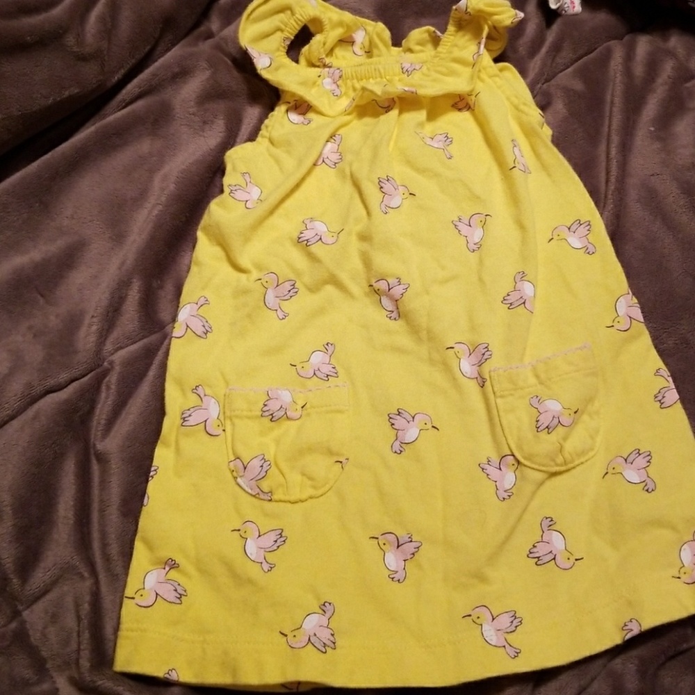 Spring birds dress Worn once!